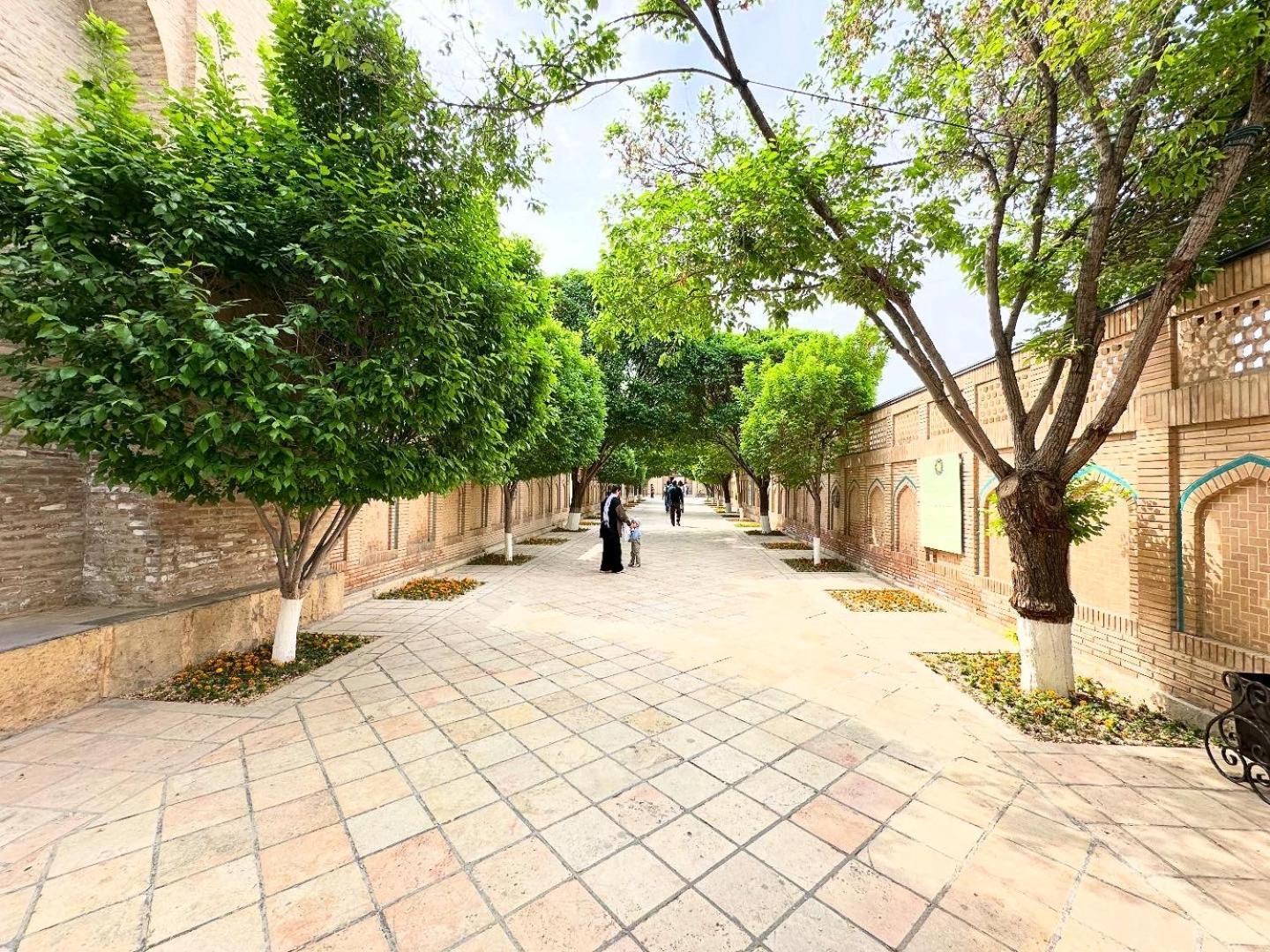 Saidkasim With A Terrace Hotel Bukhara Eksteriør billede